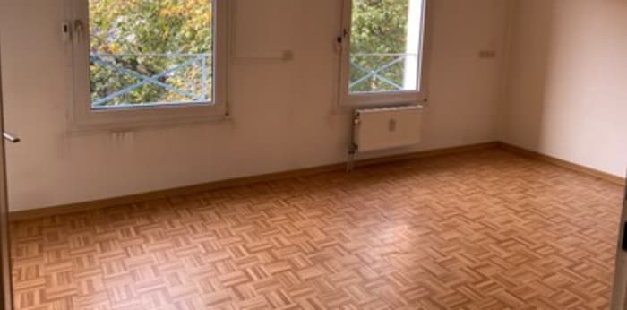 Image 3 sur 6 - Appartement  ·  Location · Selestat (67600) · 1 pièce · 29m²