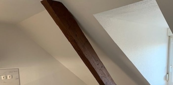 Image 10 sur 11 - Appartement  ·  Location · Mulhouse (68100) · 3 pièces · 60m²