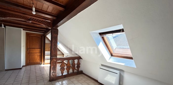 Image 9 sur 10 - Appartement  ·  Location · Elsenheim (67390) · 1 pièce · 57m²