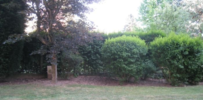 Image 3 sur 4 - Appartement  ·  Location · Roubaix (59100) · 1 pièce · 22m²