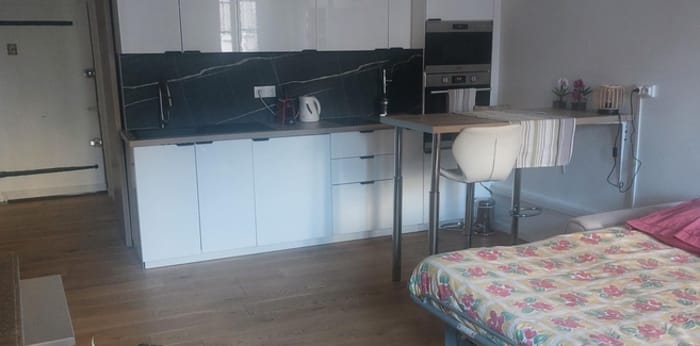 Image 2 sur 3 - Appartement  ·  Location · Annecy (74000) · 1 pièce · 33m²