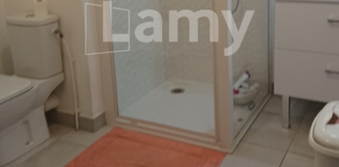 Image 4 sur 5 - Appartement  ·  Location · Nantes (44100) · 2 pièces · 41m²