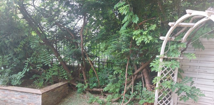 Image 1 sur 13 - Appartement  ·  Location · Paris (75116) · 3 pièces · 73m²