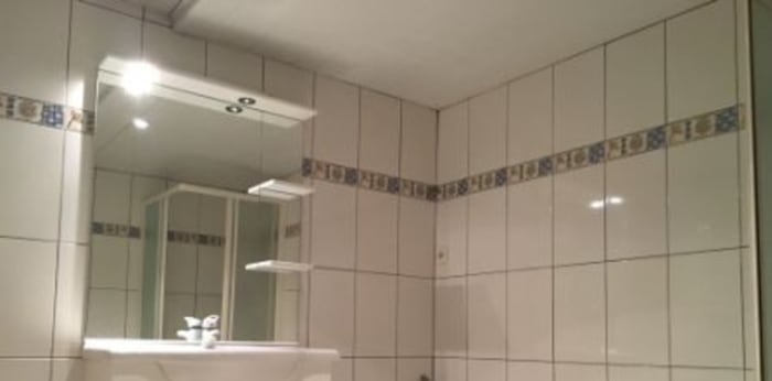 Image 3 sur 5 - Appartement  ·  Location · Friesen (68580) · 3 pièces · 71m²