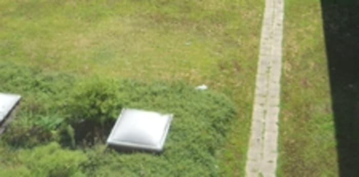 Image 4 sur 8 - Appartement  ·  Location · Lyon (69007) · 1 pièce · 20m²