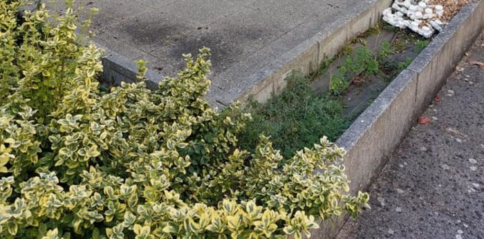 Image 1 sur 5 - Appartement  ·  Location · Angers (49100) · 2 pièces · 46m²