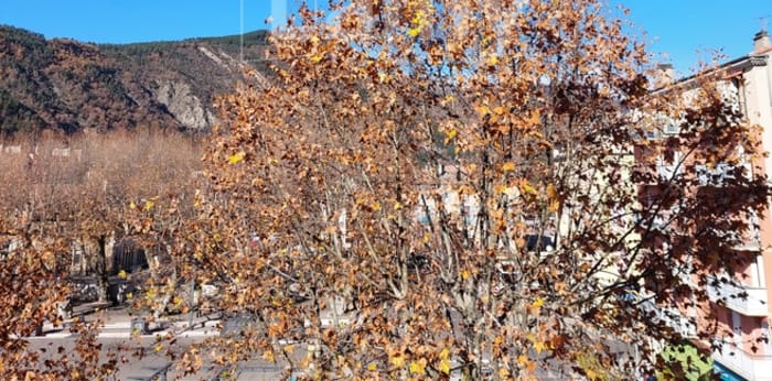 Image 11 sur 12 - Appartement  ·  Location · Digne Les Bains (04000) · 2 pièces · 58m²