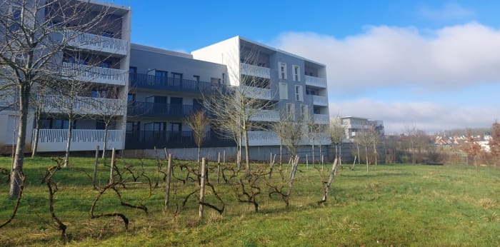 Image 6 sur 8 - Appartement  ·  Location · Chartres (28000) · 3 pièces · 66m²