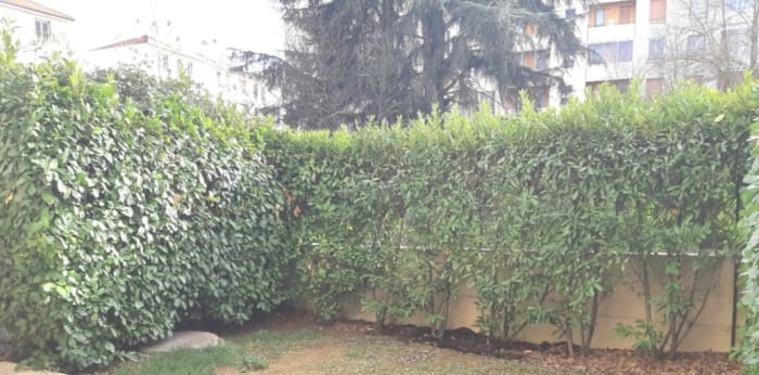 Image 4 sur 9 - Appartement  ·  Location · Villefranche Sur Saone (69400) · 3 pièces · 64m²