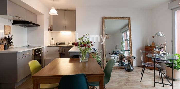 Image 2 sur 8 - Appartement  ·  Vente · Vert St Denis (77240) · 2 pièces · 47m²