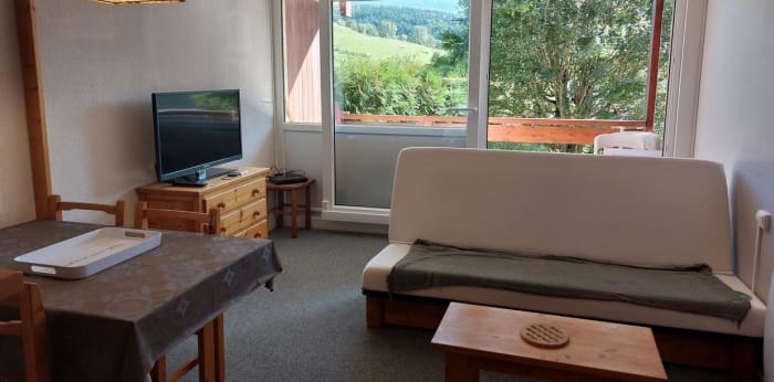Image 2 sur 10 - Appartement  ·  Vente · Villard De Lans (38250) · 1 pièce · 28m²