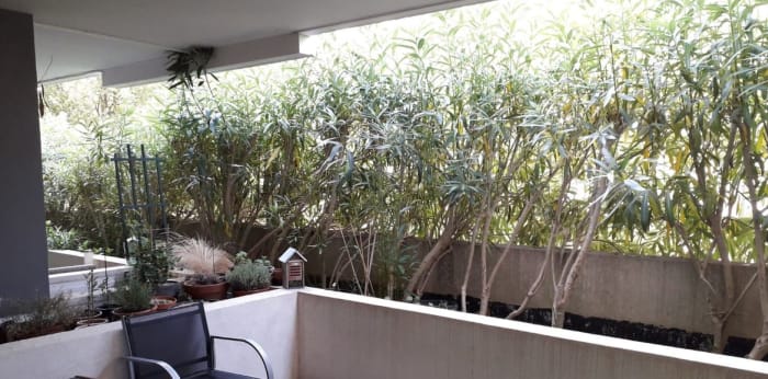 Image 5 sur 13 - Appartement  ·  Vente · St Gely Du Fesc (34980) · 3 pièces · 69m²