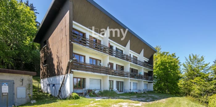 Image 6 sur 9 - Appartement  ·  Vente · St Nizier Du Moucherotte (38250) · 1 pièce · 19m²