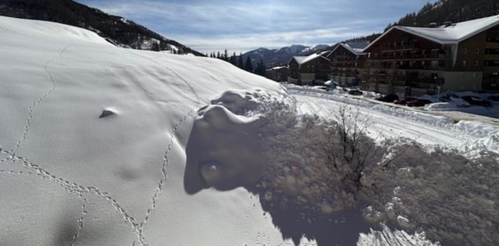 Image 12 sur 12 - Appartement  ·  Vente · Allos (04260) · 1 pièce · 26m²