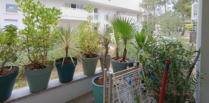 Image 5 sur 5 - Appartement  ·  Vente · Capbreton (40130) · 2 pièces · 42m²