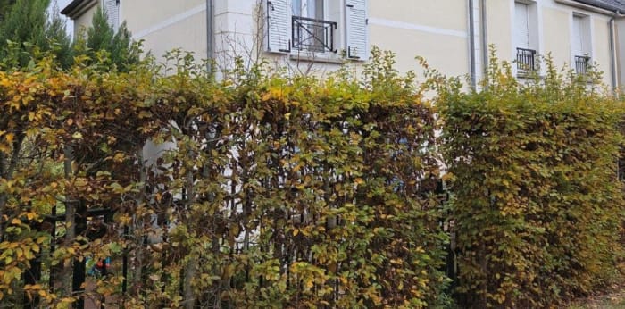 Image 11 sur 11 - Maison/villa  ·  Vente · St Avertin (37550) · 4 pièces · 75m²