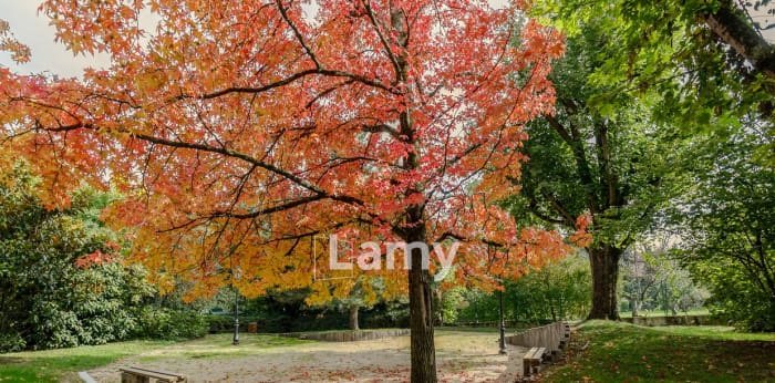 Image 9 sur 11 - Appartement  ·  Vente · Lyon (69005) · 1 pièce · 27m²