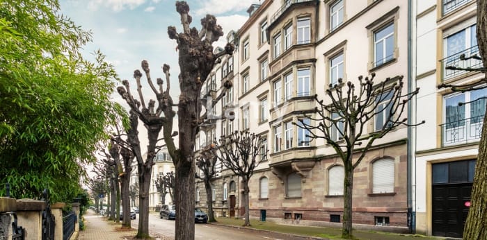 Image 14 sur 15 - Appartement  ·  Vente · Strasbourg (67000) · 7 pièces · 203m²