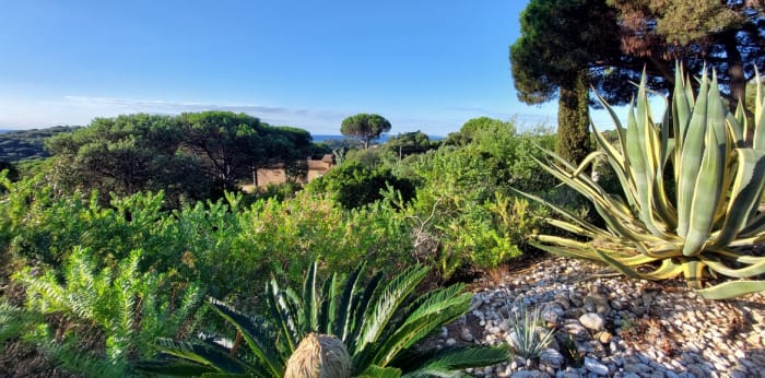 Image 13 sur 19 - Maison/villa  ·  Vente · La Croix Valmer (83420) · 200m²