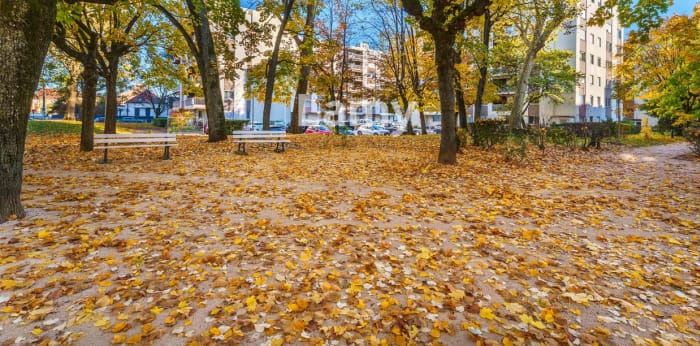 Image 7 sur 10 - Appartement  ·  Vente · Dijon (21000) · 2 pièces · 36m²