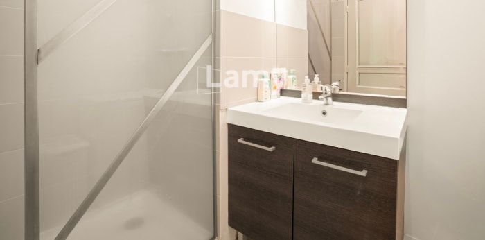 Image 6 sur 10 - Appartement  ·  Vente · Lyon (69007) · 2 pièces · 35m²