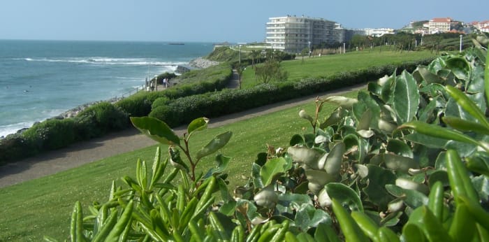 Image 14 sur 14 - Appartement  ·  Vente · Biarritz (64200) · 2 pièces · 49m²