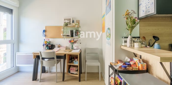 Image 3 sur 9 - Appartement  ·  Vente · Dijon (21000) · 1 pièce · 18m²