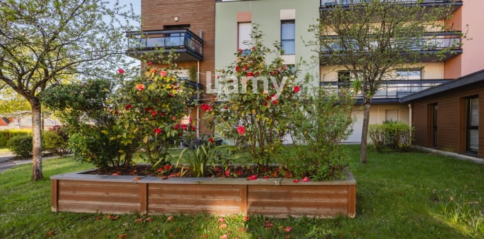Image 3 sur 9 - Appartement  ·  Vente · Laille (35890) · 2 pièces · 45m²