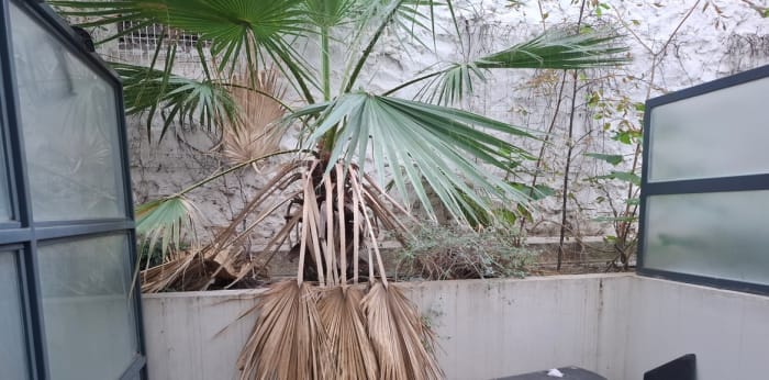 Image 2 sur 4 - Appartement  ·  Vente · Marseille (13003) · 1 pièce · 19m²