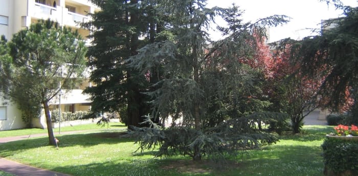 Image 8 sur 9 - Appartement  ·  Vente · Bordeaux (33200) · 2 pièces · 61m²