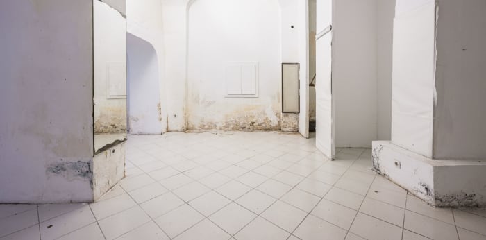 Image 6 sur 10 - Local  ·  Vente · Moutiers Tarentaise (73600) · 4 pièces · 73m²