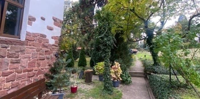 Image 10 sur 10 - Immeuble  ·  Vente · Wissembourg (67160)