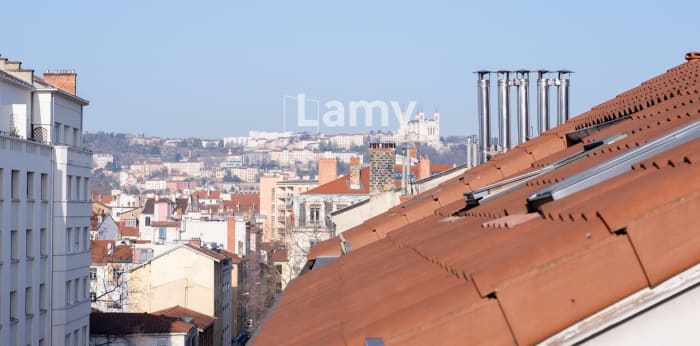 Image 1 sur 16 - Appartement  ·  Vente · Lyon (69007) · 2 pièces · 29m²