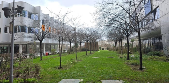 Image 3 sur 7 - Appartement  ·  Vente · Paris (75015) · 1 pièce · 18m²