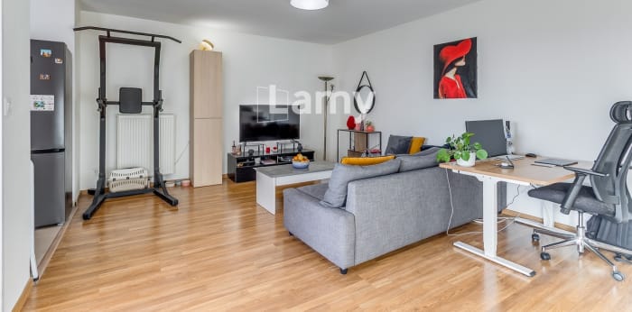 Image 3 sur 8 - Appartement  ·  Vente · Lille (59000) · 2 pièces · 48m²