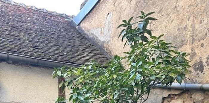 Image 12 sur 19 - Maison/villa  ·  Vente · Auxerre (89000) · 4 pièces · 90m²