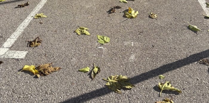 Image 14 sur 15 - Appartement  ·  Vente · Sisteron (04200)