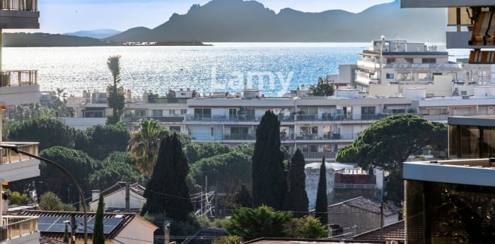 Image 1 sur 6 - Appartement  ·  Vente · Antibes (06160) · 26m²