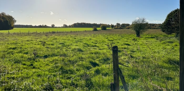 Image 13 sur 23 - Maison/villa  ·  Vente · La Selle En Hermoy (45210) · 106m²