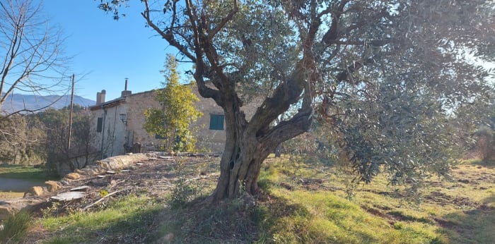 Image 10 sur 22 - Maison/villa  ·  Vente · Montfort (04600) · 6 pièces · 287m²