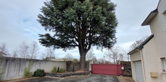 Image 11 sur 11 - Appartement  ·  Vente · Les Ponts De Ce (49130) · 3 pièces · 57m²