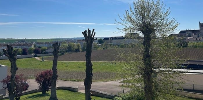 Image 8 sur 12 - Appartement  ·  Vente · Auxerre (89000) · 3 pièces · 60m²