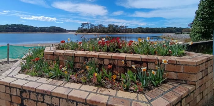 Image 7 sur 12 - Appartement  ·  Vente · Soustons (40140) · 2 pièces · 29m²