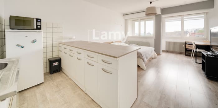 Image 8 sur 8 - Appartement  ·  Vente · Vandoeuvre Les Nancy (54500) · 1 pièce · 32m²