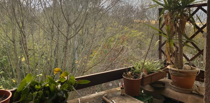 Image 4 sur 6 - Appartement  ·  Vente · Toulouse (31400) · 1 pièce · 32m²