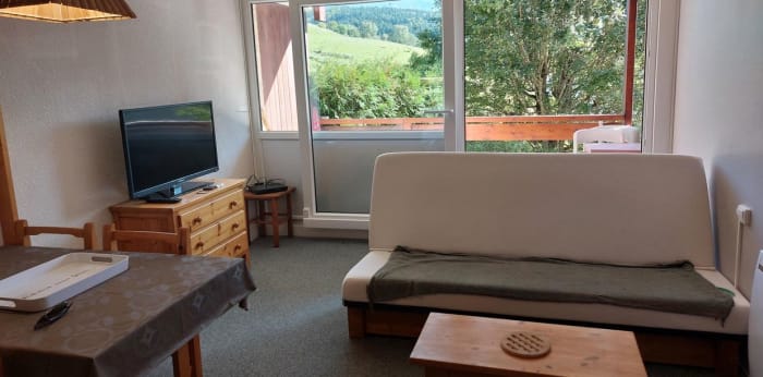 Image 4 sur 10 - Appartement  ·  Vente · Villard De Lans (38250) · 1 pièce · 28m²