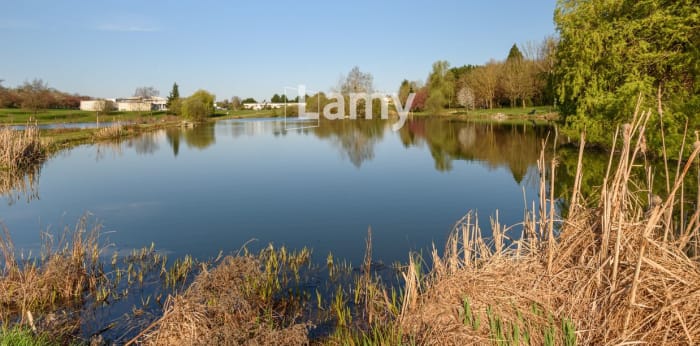 Appartement  ·  Vente · Brie Comte Robert (77170) · 4 pièces · 79m²