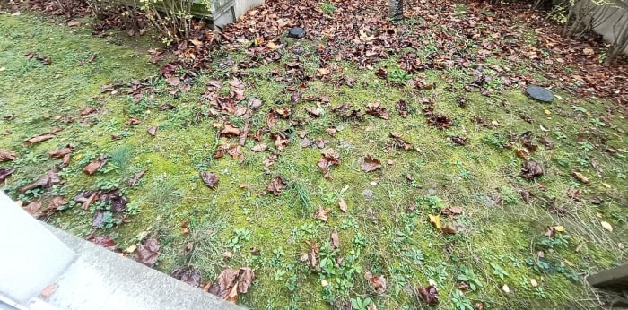 Image 10 sur 12 - Maison/villa  ·  Vente · Athis Mons (91200) · 6 pièces · 100m²