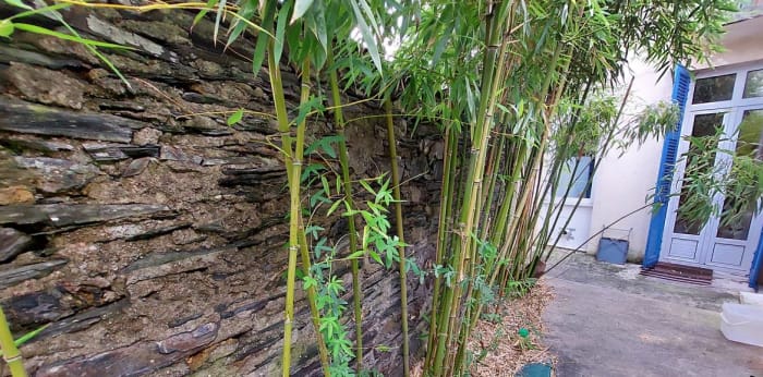 Image 12 sur 12 - Maison/villa  ·  Vente · Angers (49100) · 3 pièces · 77m²