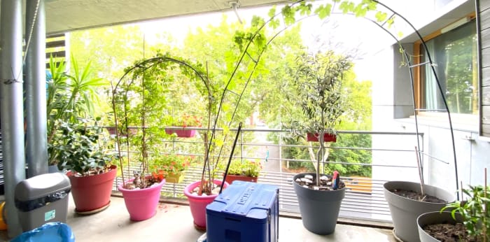 Image 3 sur 12 - Appartement  ·  Vente · Montpellier (34070) · 3 pièces · 61m²